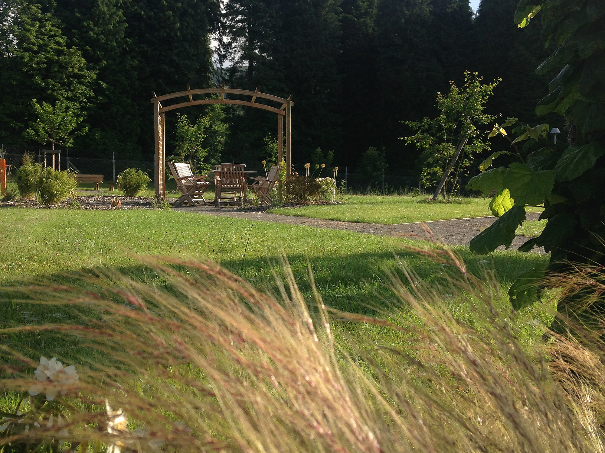 Vue d'ensemble du jardin de soin du Centre Hospitalier de Saint-Vaury