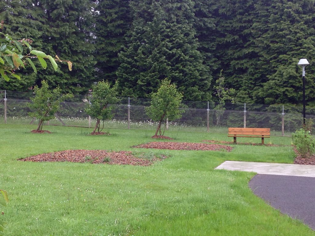 L'espace jardin de l'unité en addictologie du centre hospitalier de Saint-Vaury, un volume parfait pour concevoir un jardin adapté