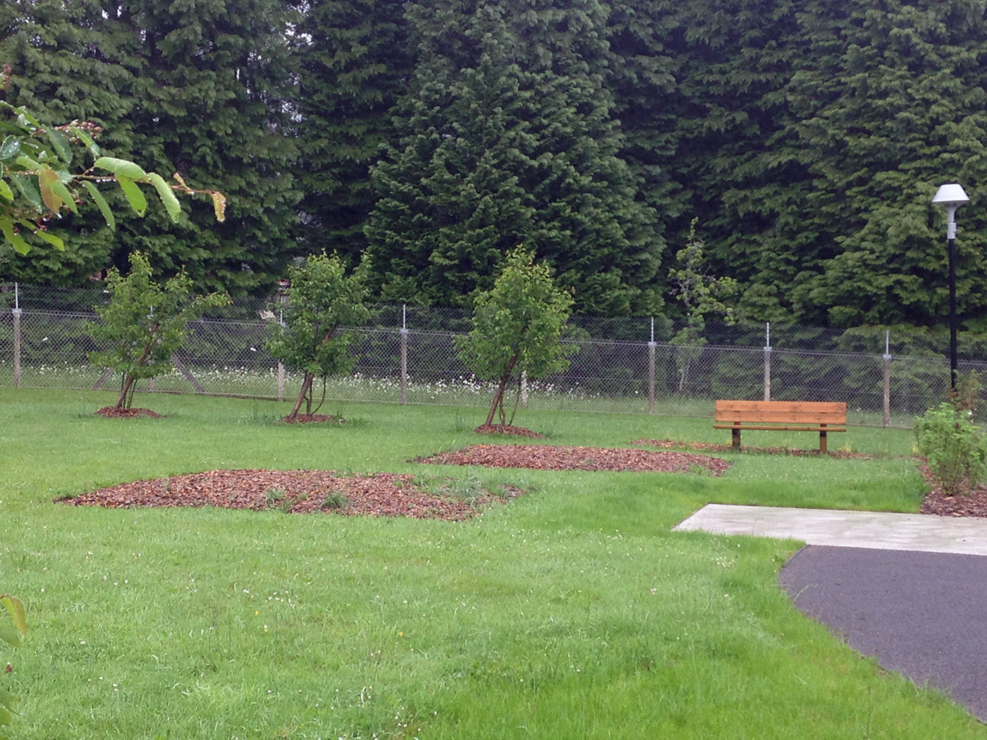 L'espace jardin de l'unité en addictologie du centre hospitalier de Saint-Vaury, un volume parfait pour concevoir un jardin adapté