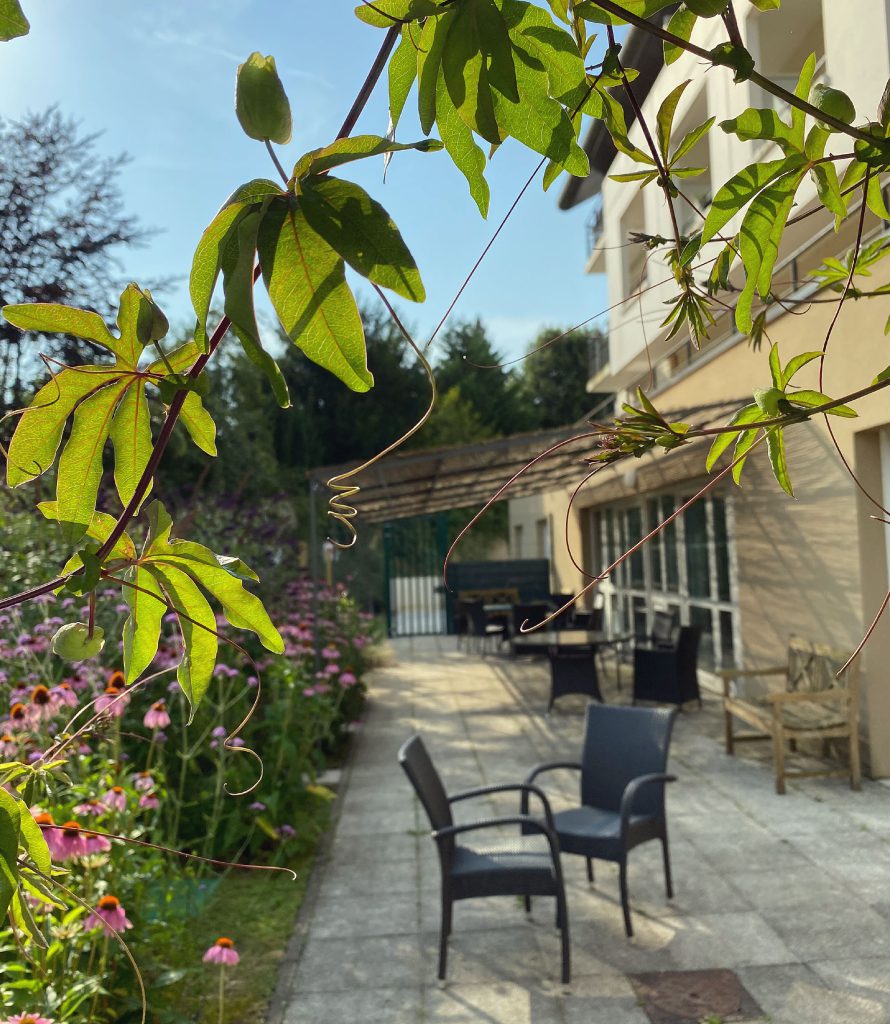 Vue de la terrasse avec une végétation luxuriante et la pergolas