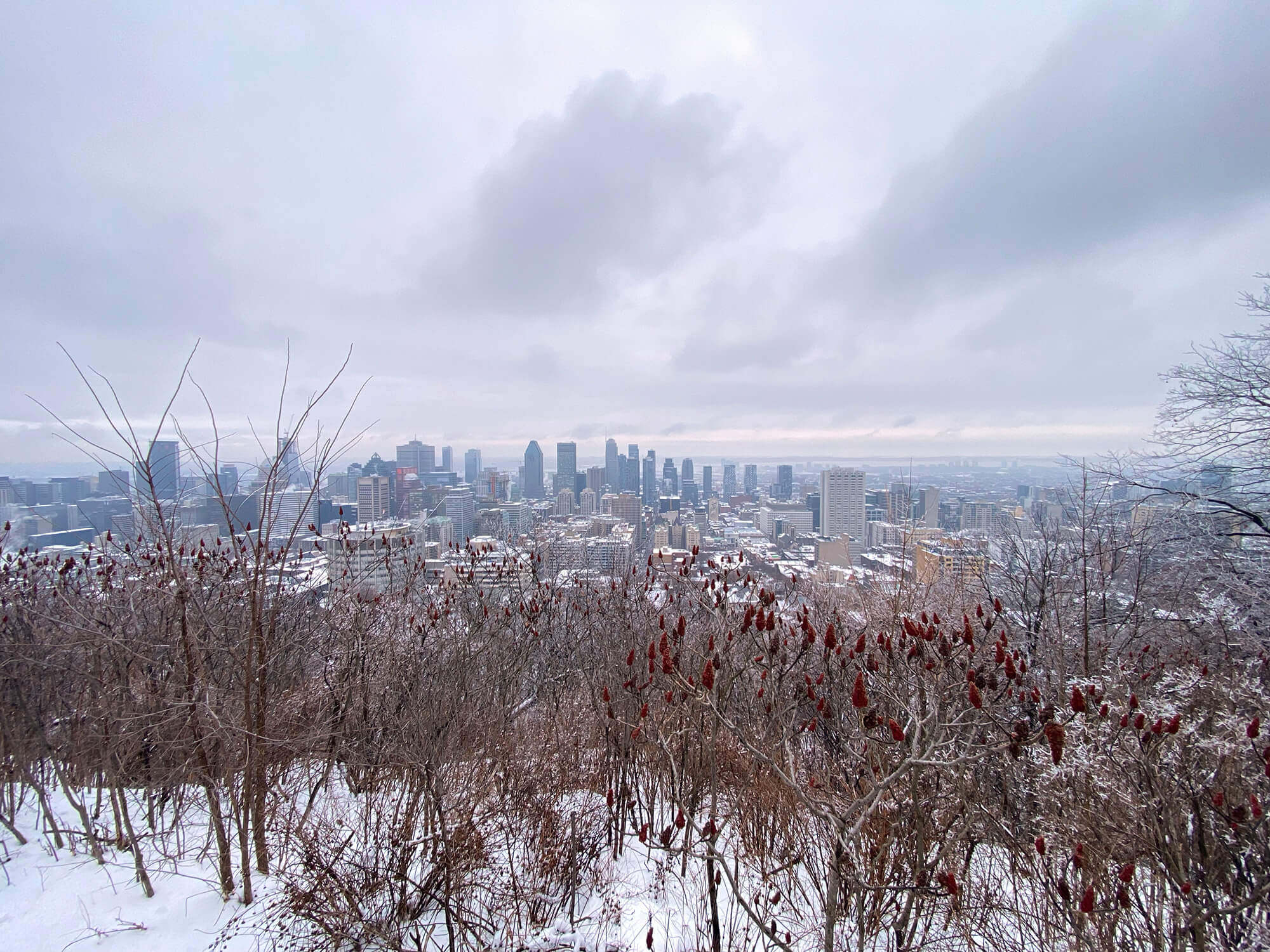 Vue-Mont-Royal La vue du Mont Royal