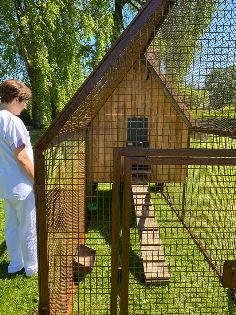 Le poulailler dans le jardin adapté à l'EHPAD d'Égletons
