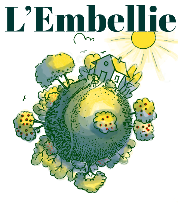 logo de l'embellie